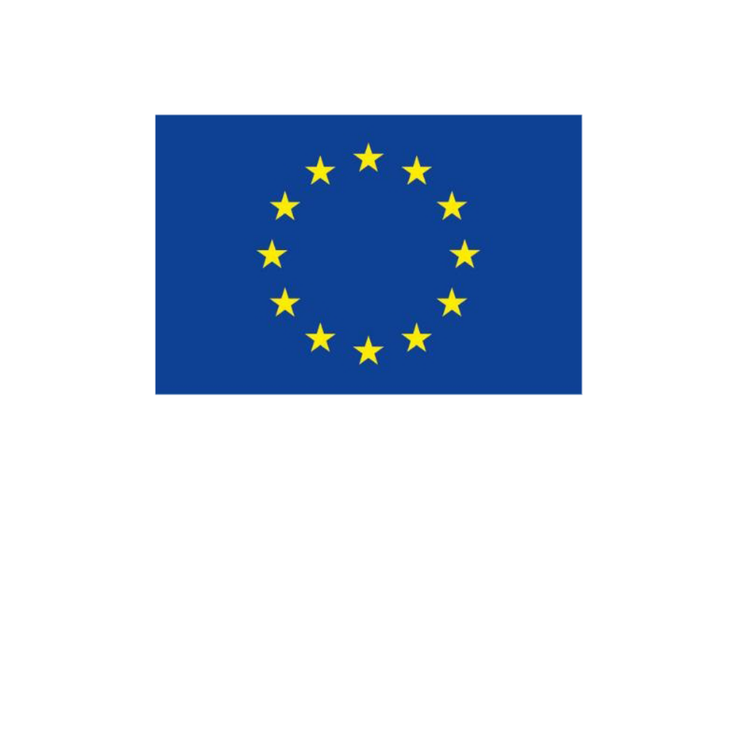 Europe Direct Timișoara