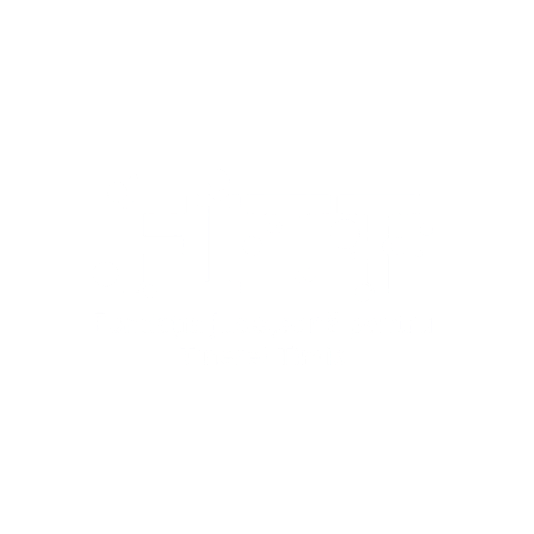 Fundația Județeană de Tineret Timiș